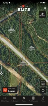 Wooded Acreage in Abbeville, AL