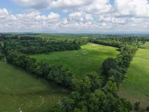 Open Pasture Land with Timber Borders