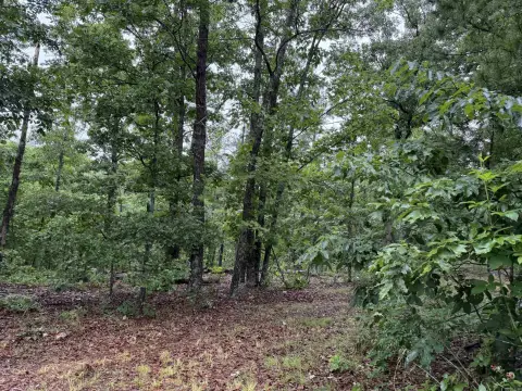 Recreational Hunting Land Parcel