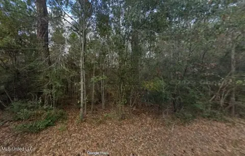 Wooded Lots Near Gulf Coast