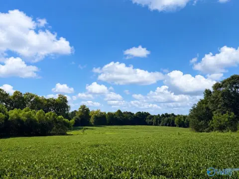 Agricultural Land with Highway Frontage