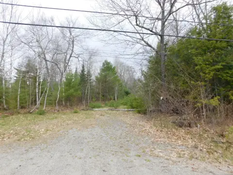 Eddington Wooded Lot For Sale