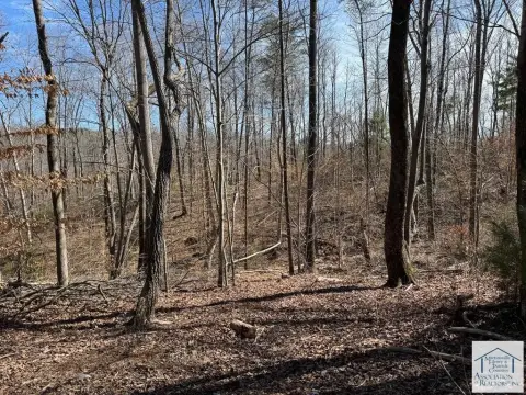 Patrick Springs Land For Sale