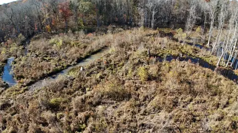 Hertford County Hunting and Timber
