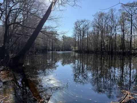 40 Acres Waterfront Recreational Land