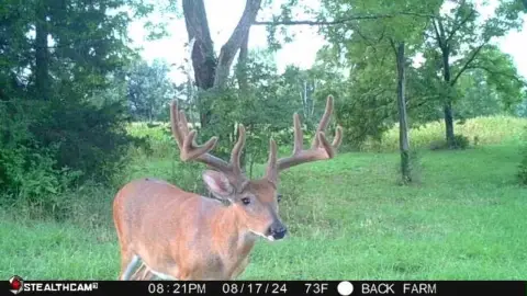 Hunting and Recreational Farm Land