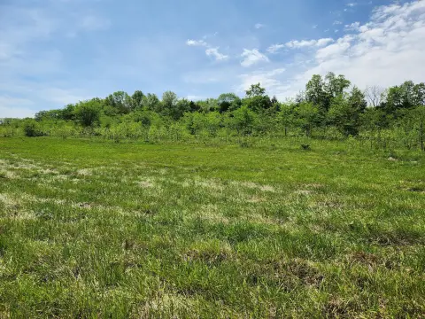 Land in Marshfield, Missouri