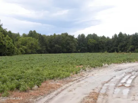 Farm and Hunting Land Opportunity