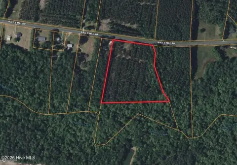 Timber Land with Road Frontage