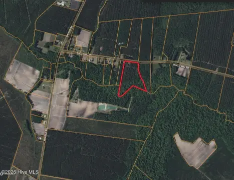 Timber Tract with Road Frontage