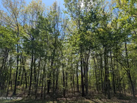 Residential Lot in Cumberland Lakes