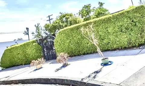 Los Angeles Quadruplex Investment Opportunity