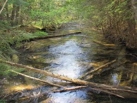 Waterfront Land on Trout Stream