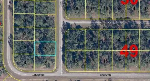 Residential Land in Labelle, Florida