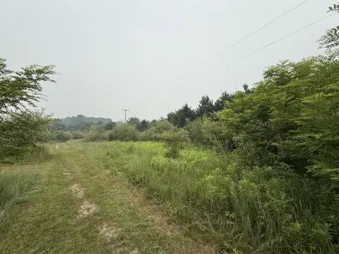 Recreational Hunting Land with Trails