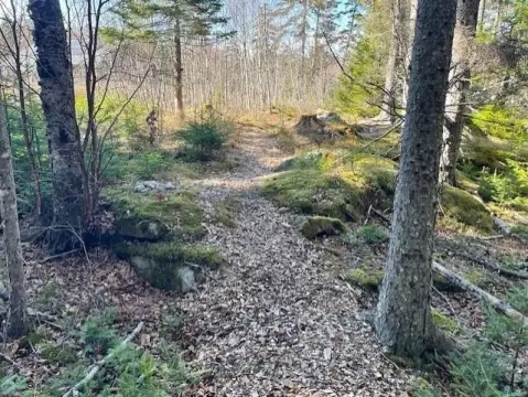 Spruce Head Island Building Lot