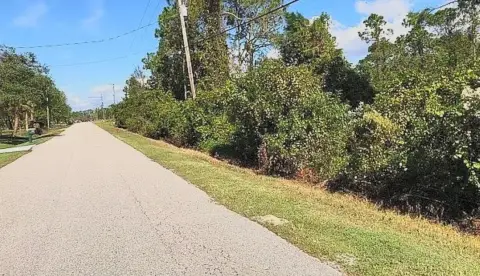 Wooded Parcel in Sebring, FL