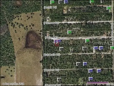 Half-Acre Wooded Residential Land