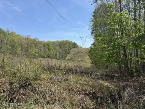 Land in Cumberland Cove