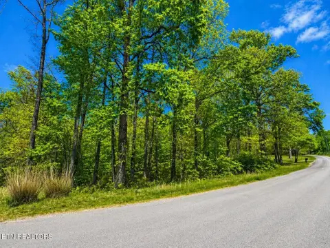 22.8 Acres of Wooded Land