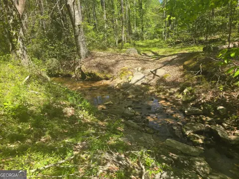 Toccoa Land for Residential Development