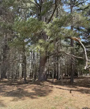 Residential Land Near Lake Bob