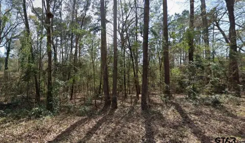 Residential Lot Near Lake