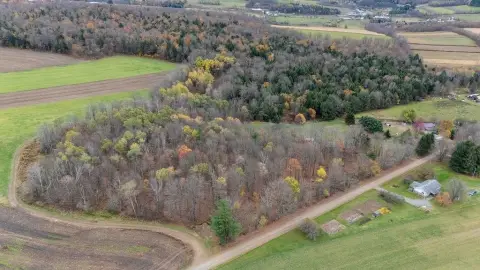 12 Acres of Wooded Land