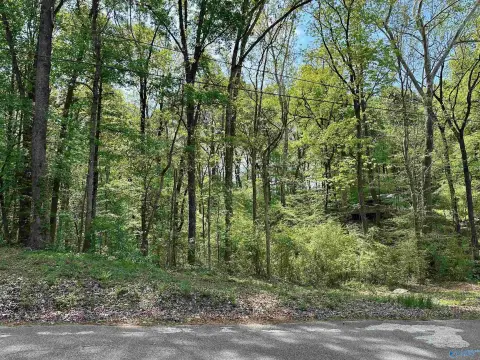 Residential Land in Athens, AL