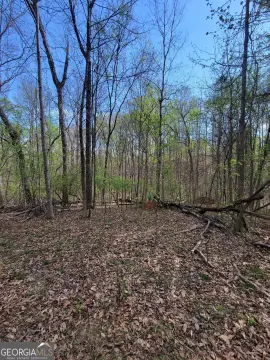 Build-Ready Homesite with Septic Study