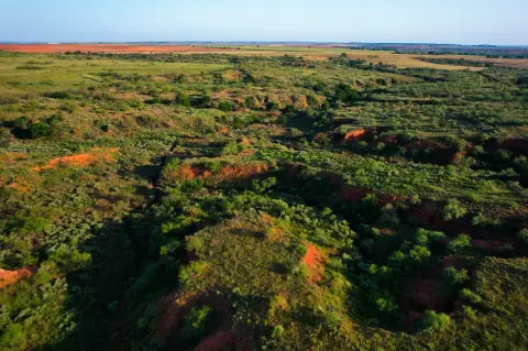CRP-Enrolled Hunting Ranch Land
