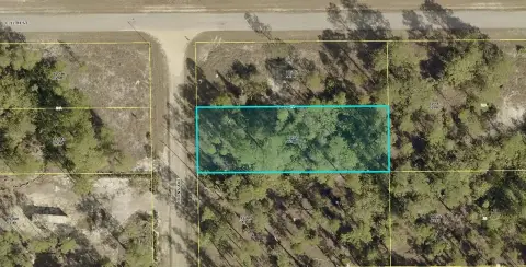 Vacant Lot in Lehigh Acres