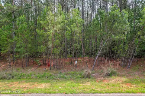Waterfront Lot in Longleaf Pointe