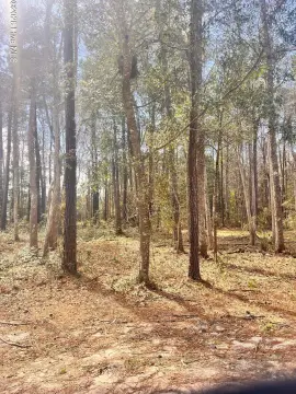 Residential Land in Bolivia, NC
