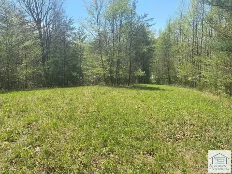 Rural Lot in Woolwine, VA
