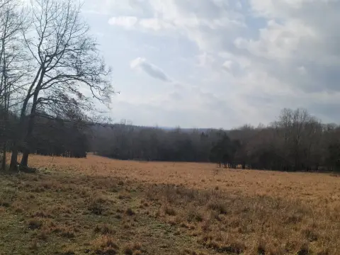 40 Acres Vacant Land