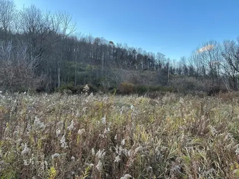 Hunting Land with Creek