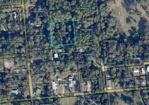 West Augustine Treed Lot