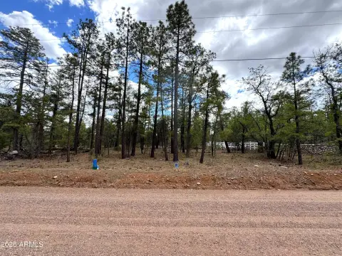 Show Low Acreage, No HOA