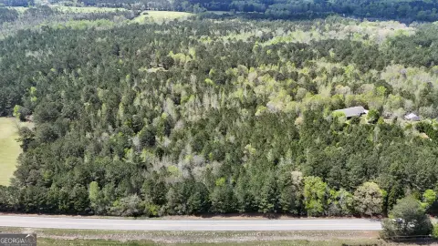 Pine Mountain Wooded Land Parcel