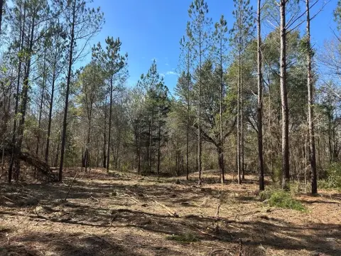 Residential Land in Cottonwood, AL