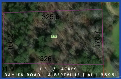 Wooded Land in Albertville, AL
