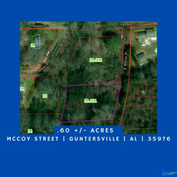 Land For Sale in Guntersville