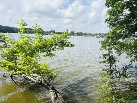 Waterfront Lot in Southside, AL