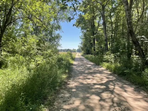 Agricultural Land with Road Frontage