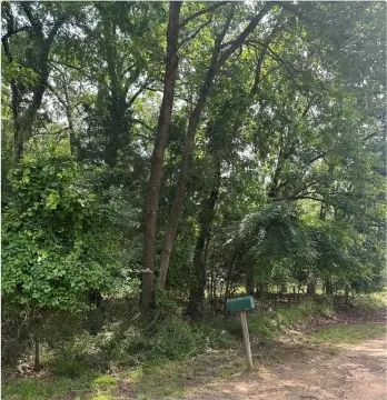 Unimproved Land Near Water