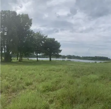 Intracoastal Waterfront Estate Land