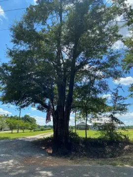Residential Land Near Dothan