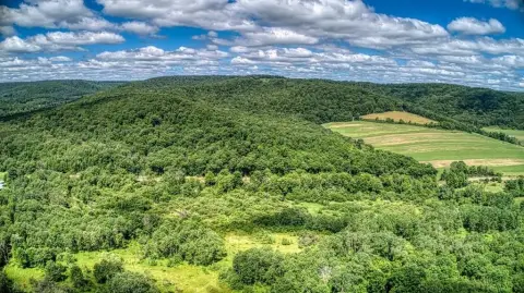 Secluded Potter County Land Parcel