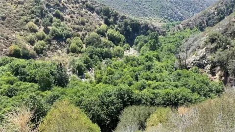 Residential Land in Mt Baldy